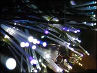 Fibre optique